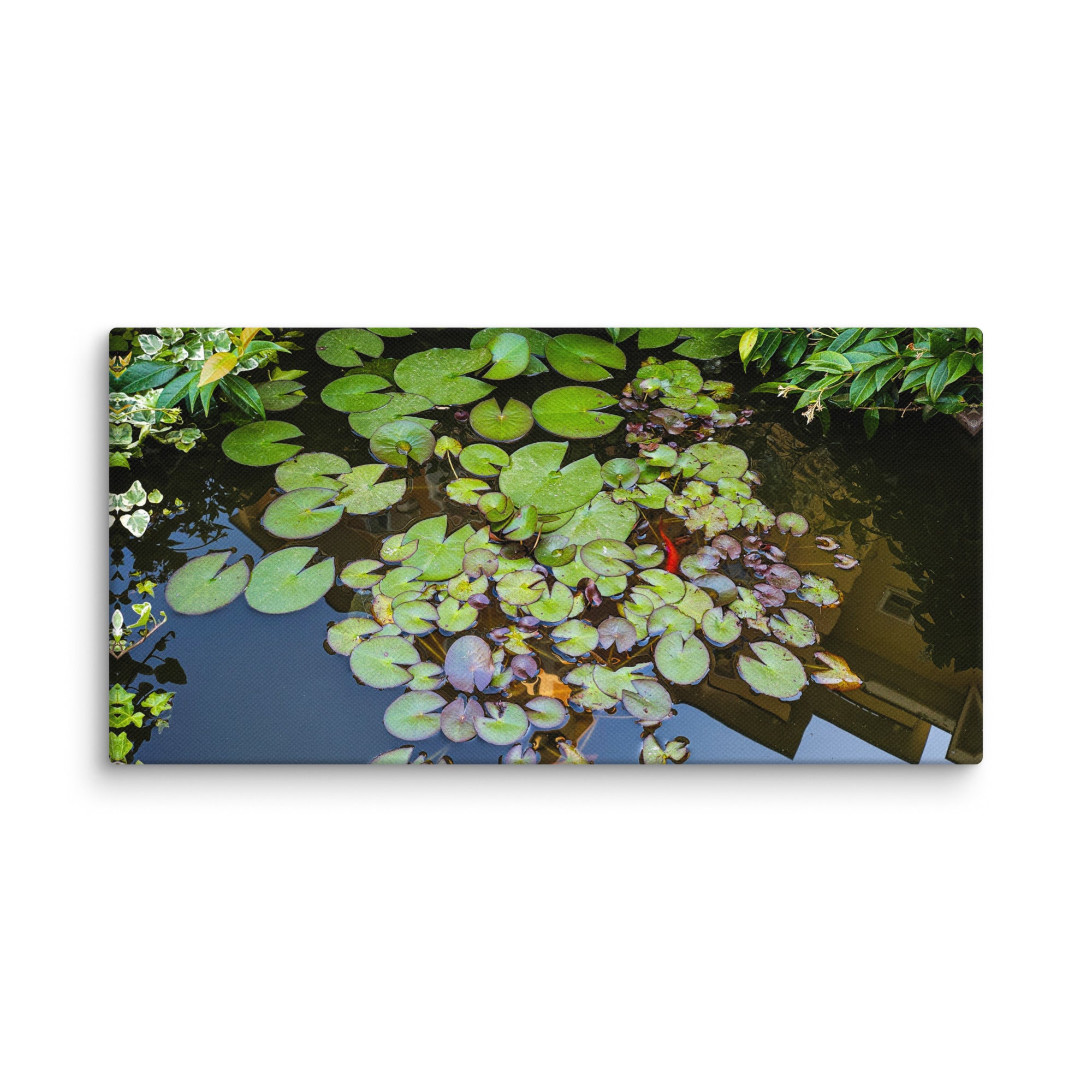 Canvas of a Pond and Lily Pads in Darfo Boario Terme Italy - Rosetta Creative Boutique